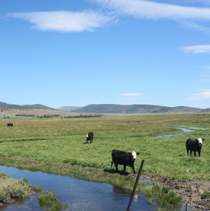 Meet your Posher, Aimee